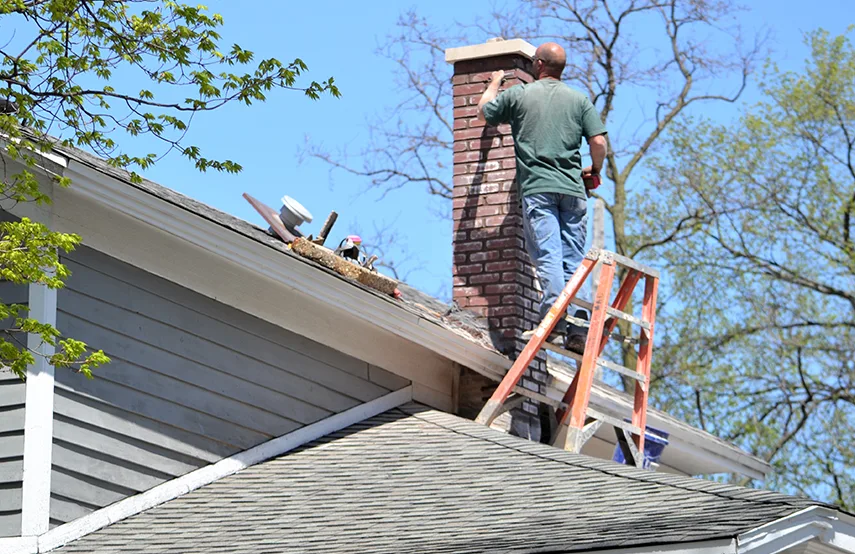 Chimney & Fireplace Inspections Services in Mill Creek, WA